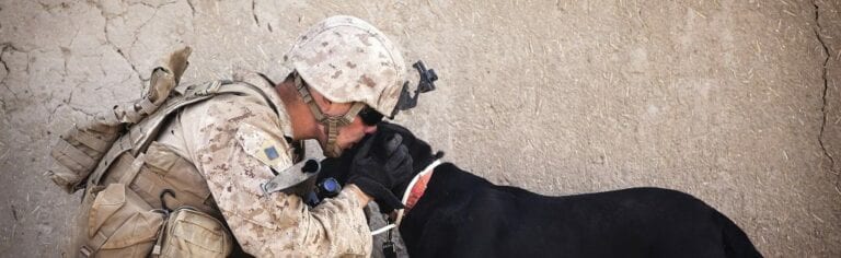 soldier-and-dog-1-1024x314